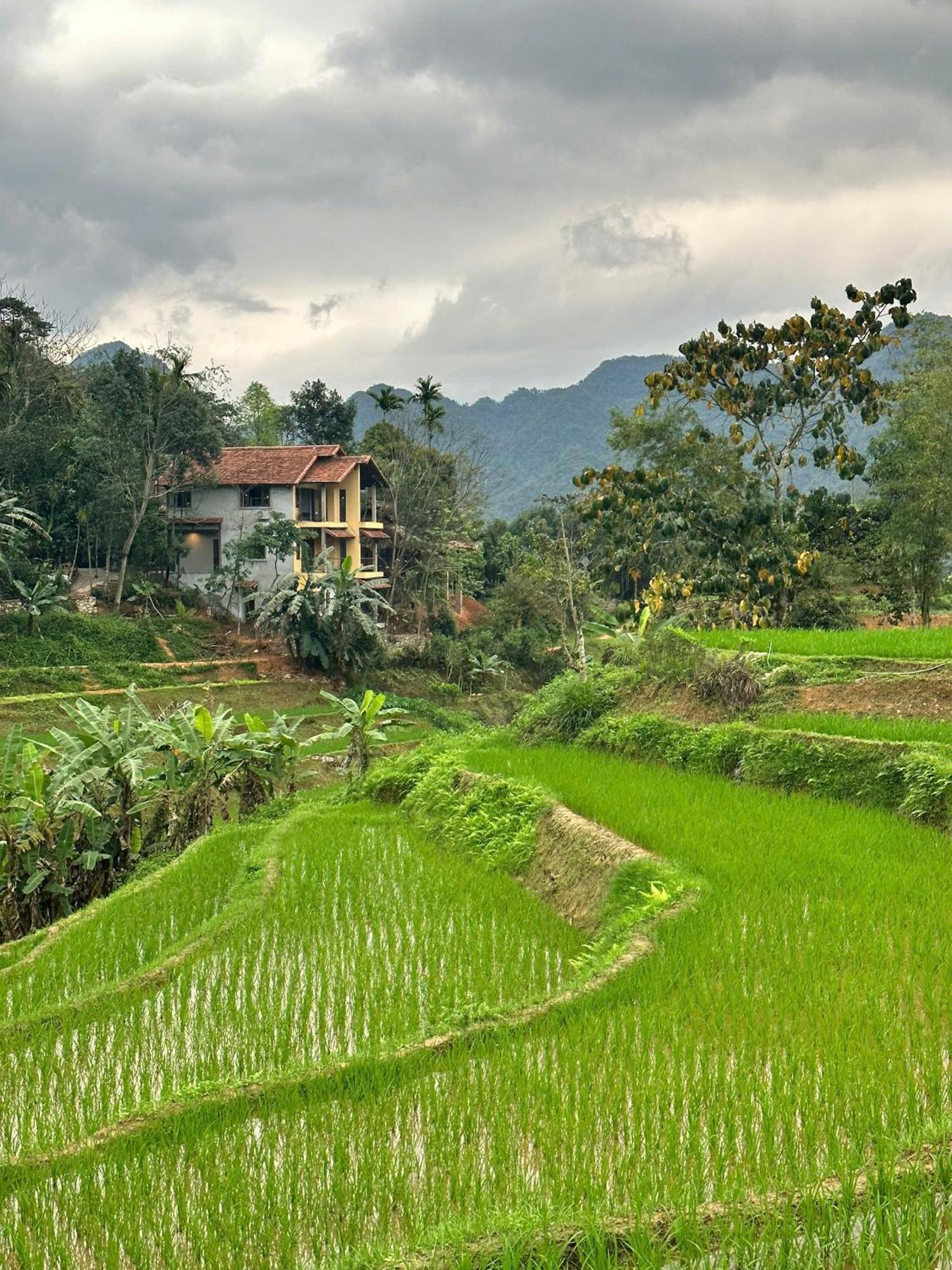 Pu Luong Boutique Garden Hotel Luaran gambar