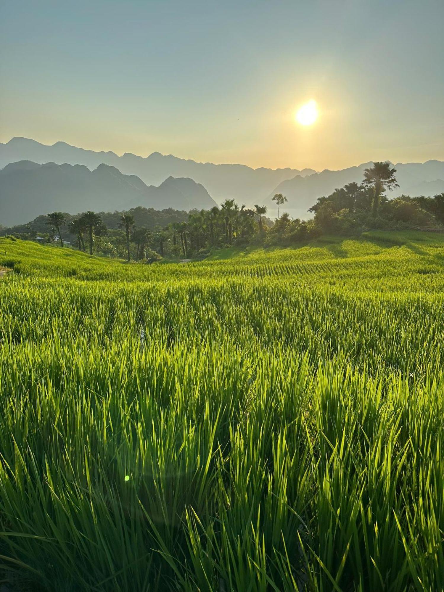 Pu Luong Boutique Garden Hotel Luaran gambar
