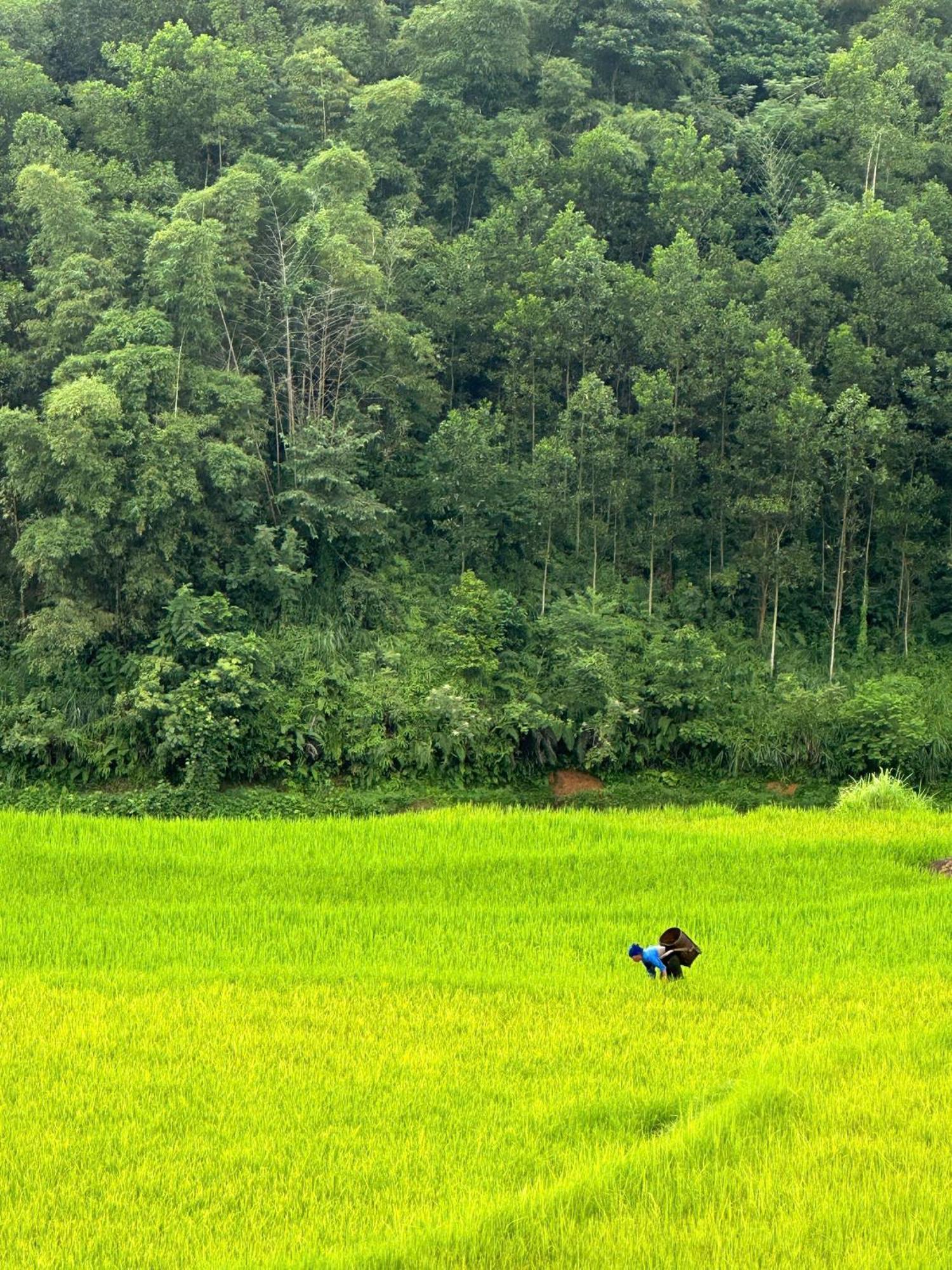 Pu Luong Boutique Garden Hotel Luaran gambar